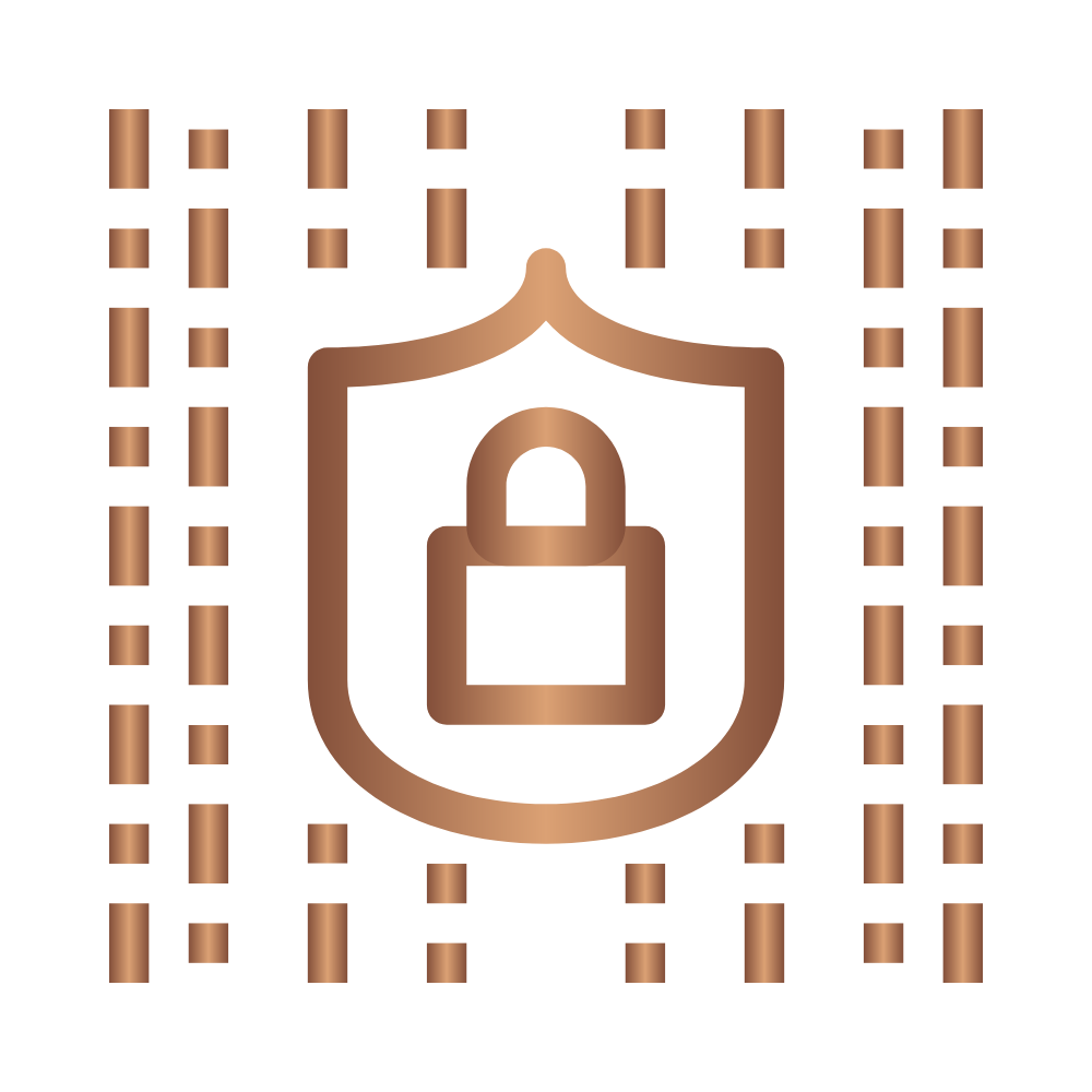 ( IP Security Logo )